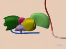 mRNA Splicing