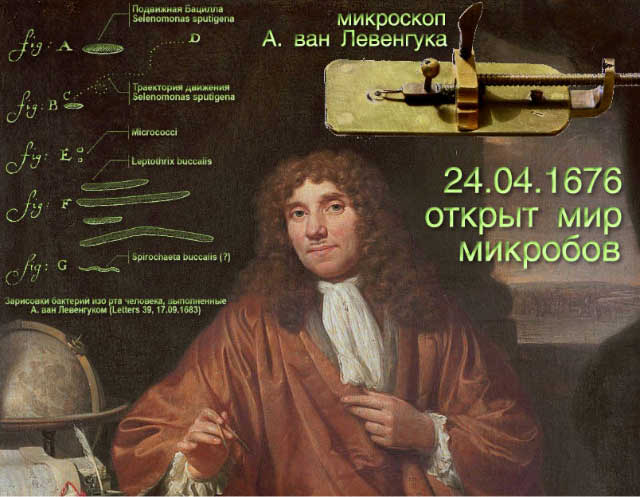 24 апреля 1676 года Антони ван Левенгук открыл мир микробов